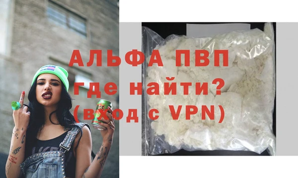 молекула духа Новозыбков