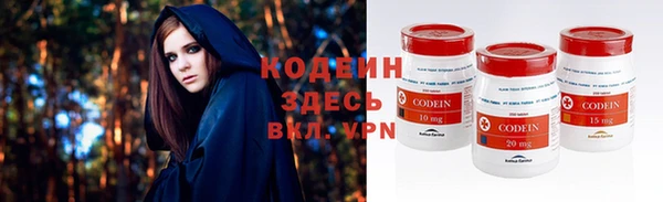 прущие грибы Абинск