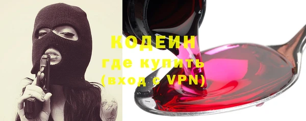 прущие грибы Абинск