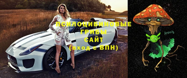 винт Нягань