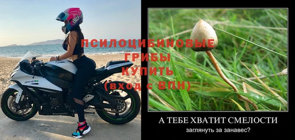 прущая мука Абаза