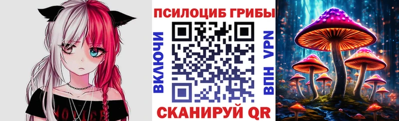 Галлюциногенные грибы GOLDEN TEACHER  где продают наркотики  Ковдор 
